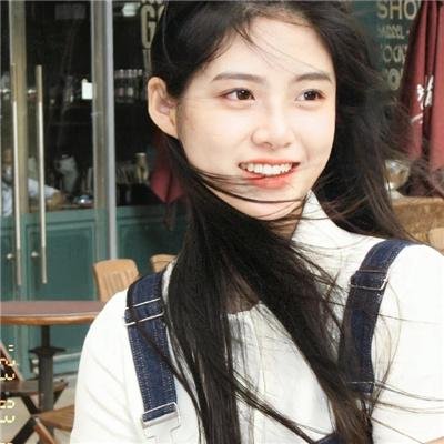 野狗们